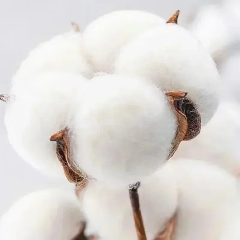 Harajuku Aesthetic Christian Jesus Church Hoodie Bible Verse God Loves You Hooded Men's Women Vintage Sweatshirts Streetwear Y2K