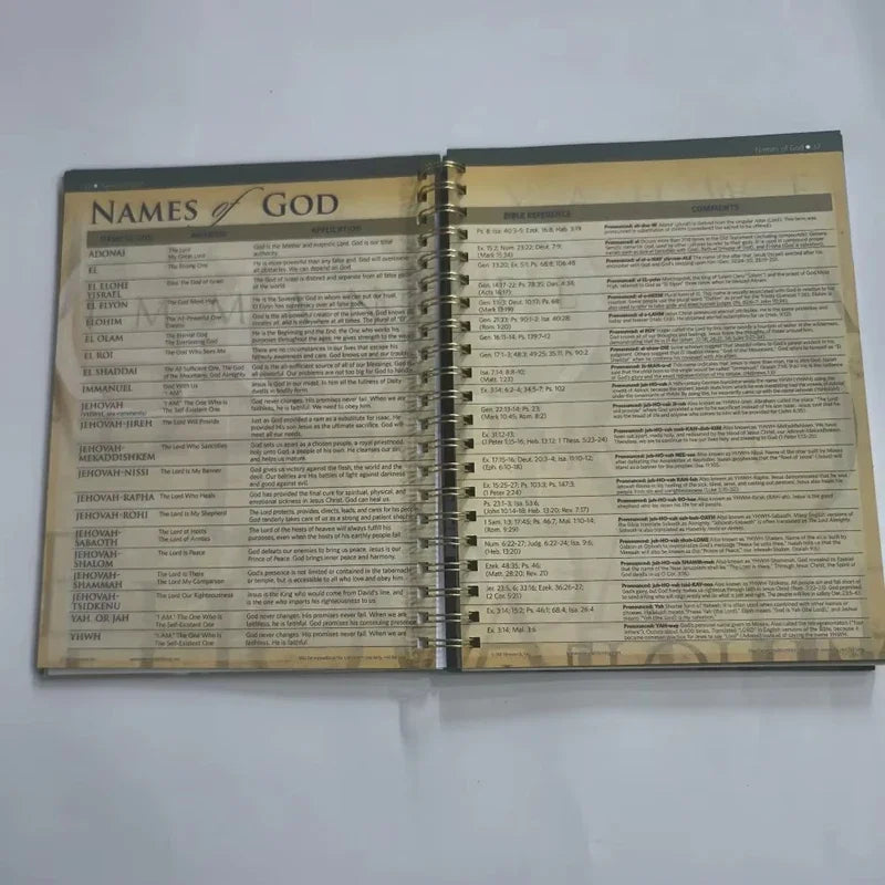 Bible Charts,Maps & Time Lines 10th Anniversary Edition Pilgrimage Travel Bible Study English Guide Book